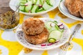 Potato and Pork Patties with Cucumber and Radish Salad Royalty Free Stock Photo