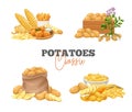 Potato products set