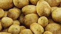 Fresh potatoes on the market Royalty Free Stock Photo