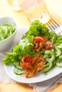 Potato rosti and cucumber salad Royalty Free Stock Photo