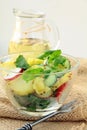 Potato salad with cucumber and radish Royalty Free Stock Photo