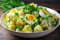 Potato salad with eggs and green onion Royalty Free Stock Photo