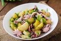 Potato salad with pickled octopus and onions Royalty Free Stock Photo
