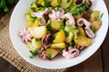 Potato salad with pickled octopus and onions Royalty Free Stock Photo