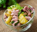 Potato salad with pickled octopus and onions Royalty Free Stock Photo