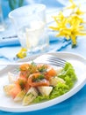 Potato and salmon salad Royalty Free Stock Photo