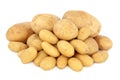 Potato Selection Royalty Free Stock Photo