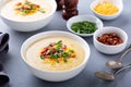 Potato soup with bacon and cheese Royalty Free Stock Photo