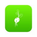 Potato sprout from the root icon digital green