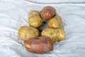 Four baker`s potato and two yams