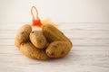 Potato still life on wood background