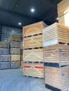 Potato storage facility. Refrigerated cold warehouse for potatoes and onions with wooden boxes. Royalty Free Stock Photo