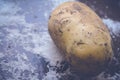 Potato on table Royalty Free Stock Photo