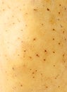 Potato texture Royalty Free Stock Photo