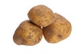 Potato tuber Royalty Free Stock Photo