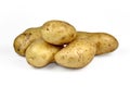 Potato tuber isolated on white background cutout. Royalty Free Stock Photo