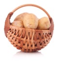 Potato tuber in wicker basket isolated on white background Royalty Free Stock Photo