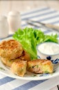 Potato and Tuna Cakes Royalty Free Stock Photo