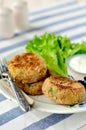 Potato and Tuna Cakes Royalty Free Stock Photo