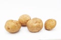 Potato varieties Kuras. Potatoes isolated on white background Royalty Free Stock Photo