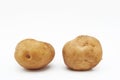 Potato varieties Kuras. Potatoes isolated on white background Royalty Free Stock Photo