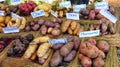 Potato variety from the Andes mountains, Ecuador Royalty Free Stock Photo