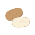 Potato vector flat illustration. Whole and halved potato isolated on white background. Packaging design element