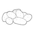 Potato Vector Illustration Hand Drawn Vegetable Cartoon Art Royalty Free Stock Photo