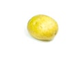 Potato is vegetable on isolated white background. Royalty Free Stock Photo