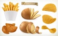 Potato, wedges and fry chips. Vegetable. vector icon set