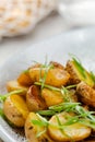 Potato wedges, oven roasted close up on light concrete background. Roasted baby potatoes. fries potatoes with green onions Royalty Free Stock Photo