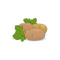 Potato on White Royalty Free Stock Photo