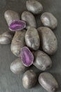 Potato cultivar Prunelle