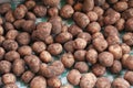 Potatoe, potato, dirty potato background. Potatoes in the market Royalty Free Stock Photo