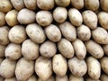 Potatoes Royalty Free Stock Photo