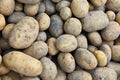 Potatoes background. Fresh potato. autumn harwest of vegetables. Royalty Free Stock Photo