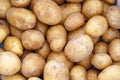 Potatoes background Royalty Free Stock Photo