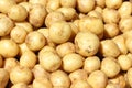 Potatoes background Royalty Free Stock Photo