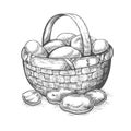 Potatoes basket sketch