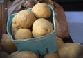 Potatoe basket vegetarian food organic vegetables agriculture harvest Royalty Free Stock Photo