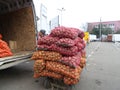 Potatoes being loaded on a trolley