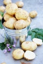 Potatoes in a bucket Royalty Free Stock Photo