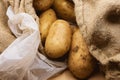 Potatoes, Burlap jute sack and a plastic bag. Market scene