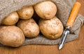 Potatoes in burlap sack with a rustic knife