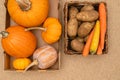 Potatoes, carrot, pumpkins, and squash close up in basket directly from above