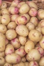 Potatoes close up detailed fresh off the ground in a basket on a Sunday`s farmers market. Concept for homegrown farming vegetarian