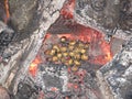 potatoes on the coals campfire 