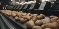 Potatoes on a conveyor belt in a supermarket. Toned.