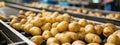potatoes in the factory industry. selective focus. Royalty Free Stock Photo