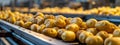 potatoes in the factory industry. selective focus. Royalty Free Stock Photo